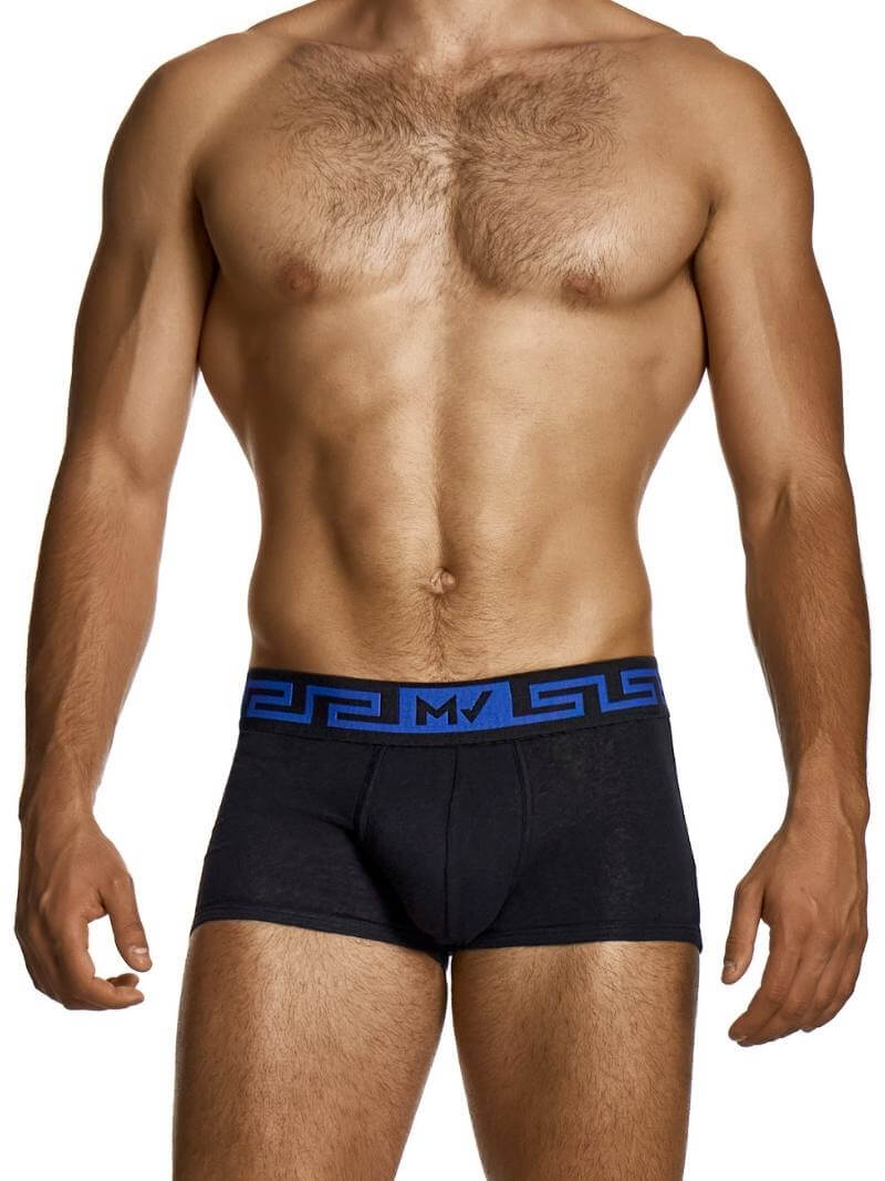 Man wearing black boxer briefs with a blue waistband on a white background