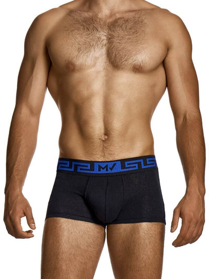 Man wearing black boxer briefs with a blue waistband on a white background