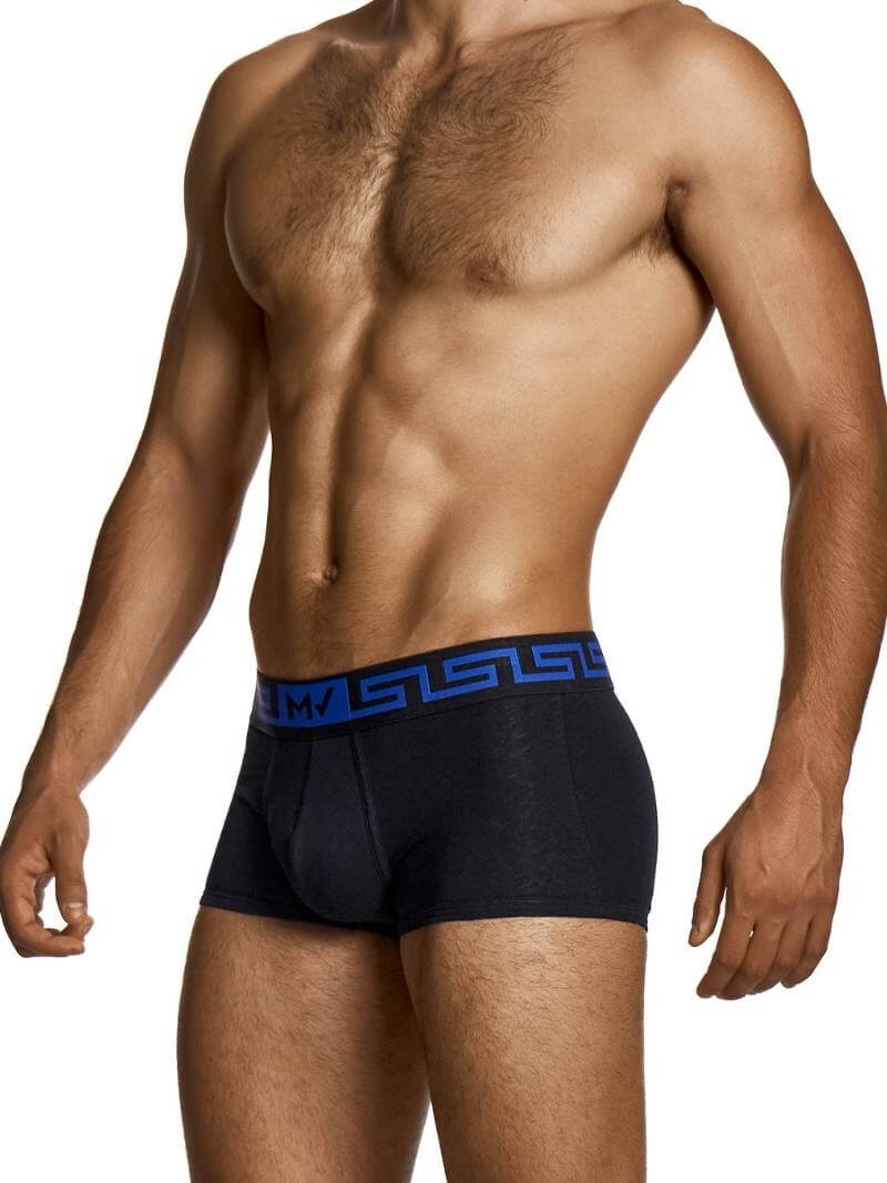 Man wearing black boxer briefs with a blue waistband on a white background