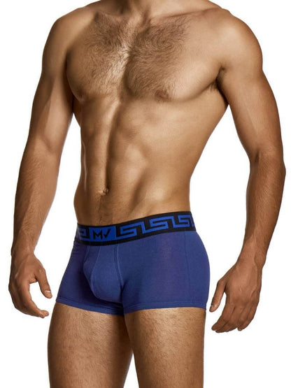 Man wearing blue boxer briefs with a brand logo on a white background