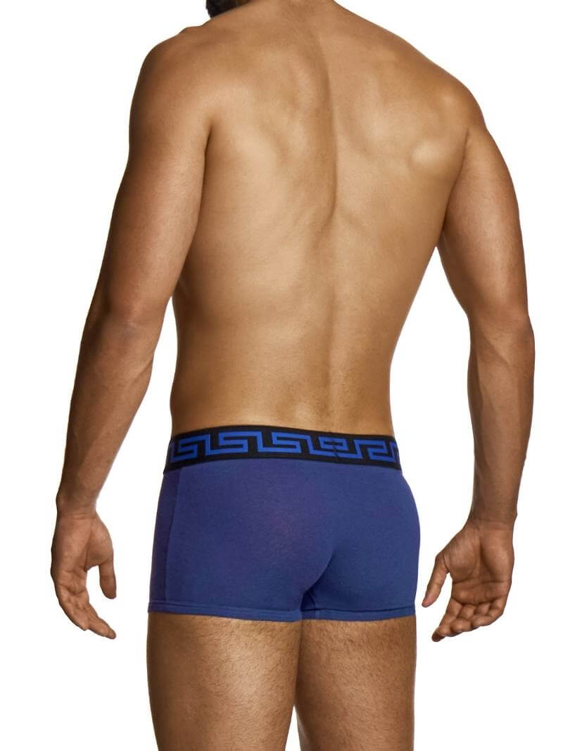 Man wearing blue boxer briefs with a black waistband on a white background