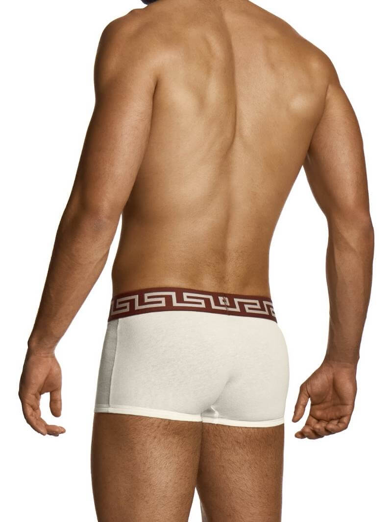 Man wearing a white underwear with a brown waistband on a white background