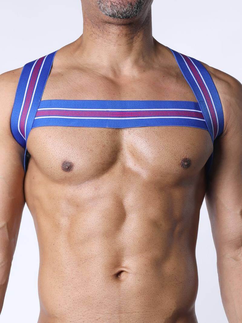 Man wearing a blue chest harness against a white background