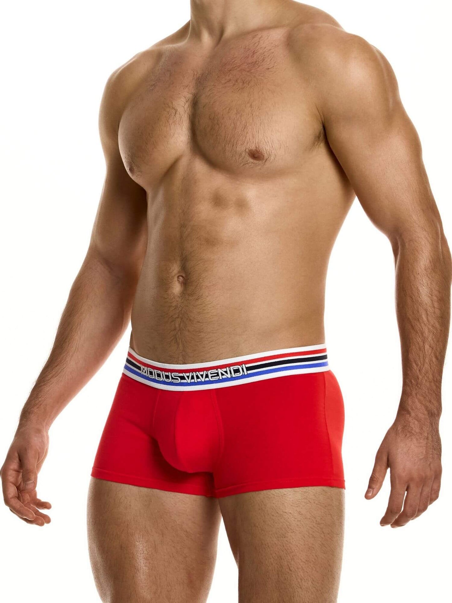 Red boxer briefs with a striped waistband on a white background