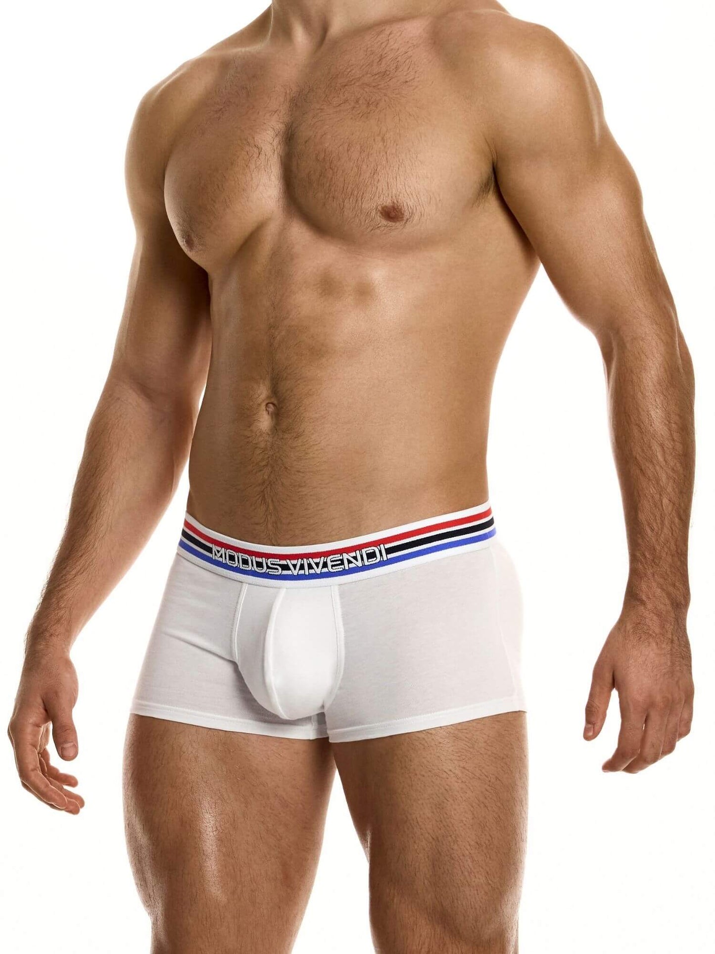 Man wearing a white boxer brief with a brand logo on a white background